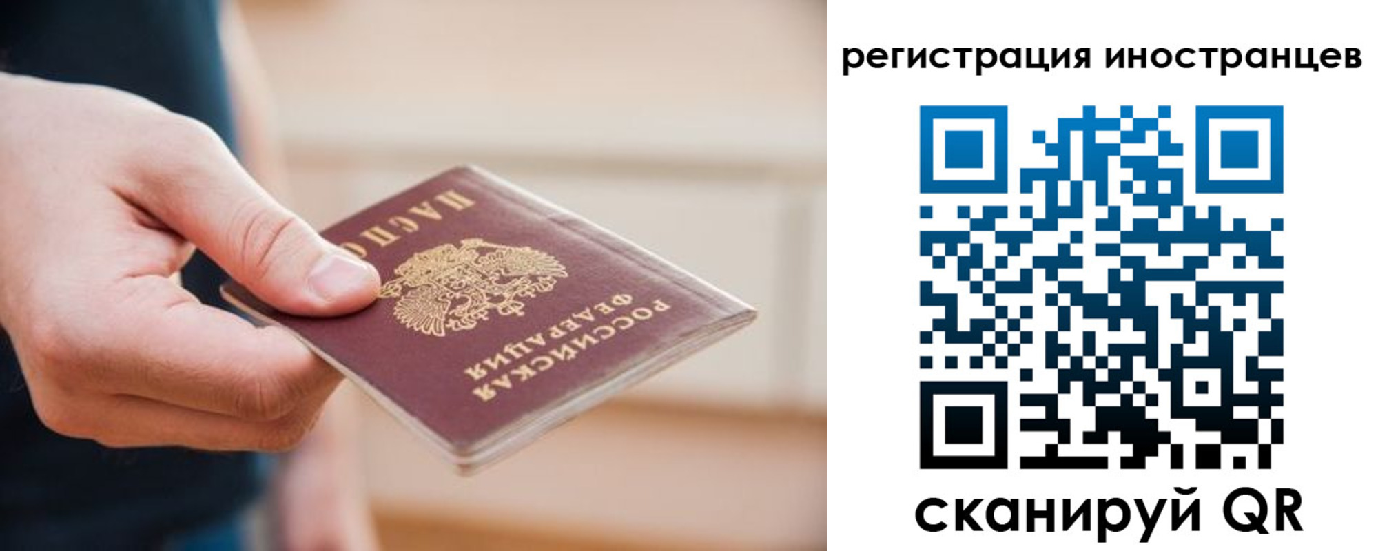 прописка гарантия в Ельне